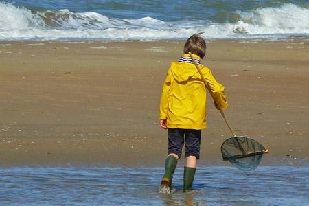 Tout savoir sur la pêche à pied en Vendée (et ne pas repartir bredouille)